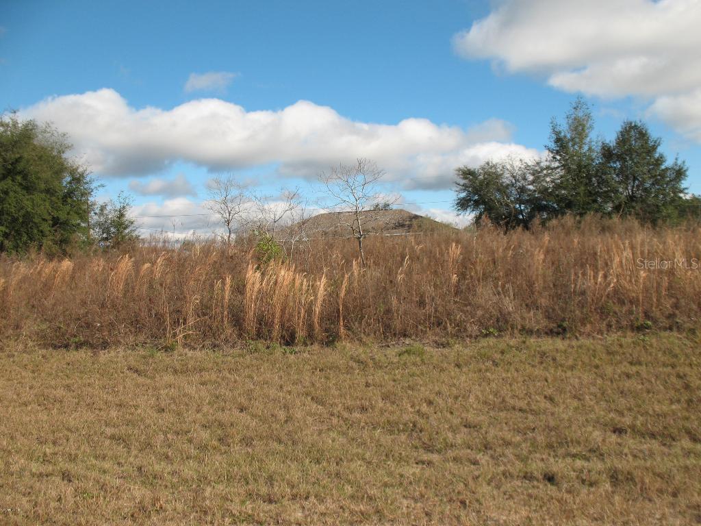 TBA SW 73rd Avenue Road, Ocala, FL 34473