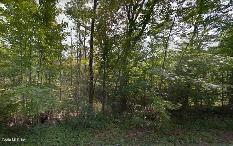 00 SW 37 Terrace Rd., Ocala, FL 34473