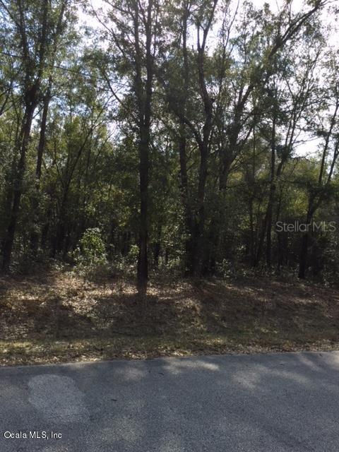 SW 15th Pl., Ocala, FL 34474