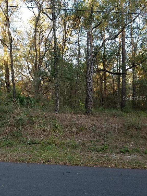 TBD E Lakeview Dr., Ocala, FL 34482