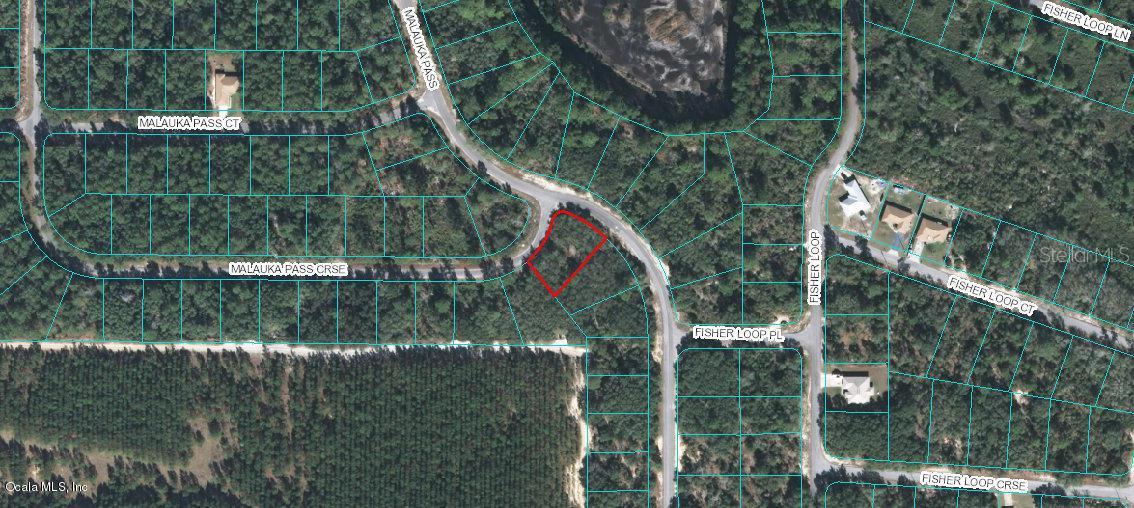 00 Malauka Pass, Ocklawaha, FL 32179