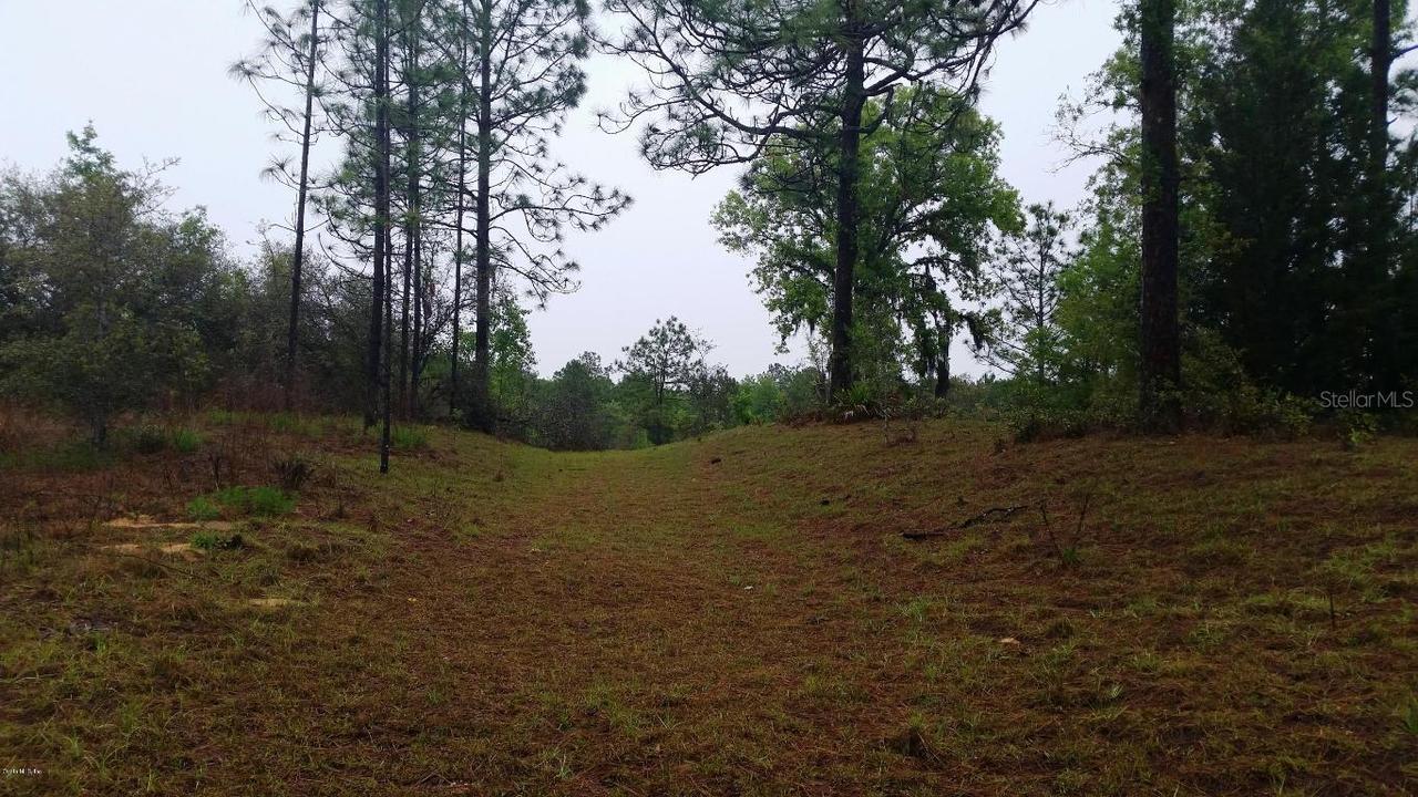 000 NE 40 St., Williston, FL 32696