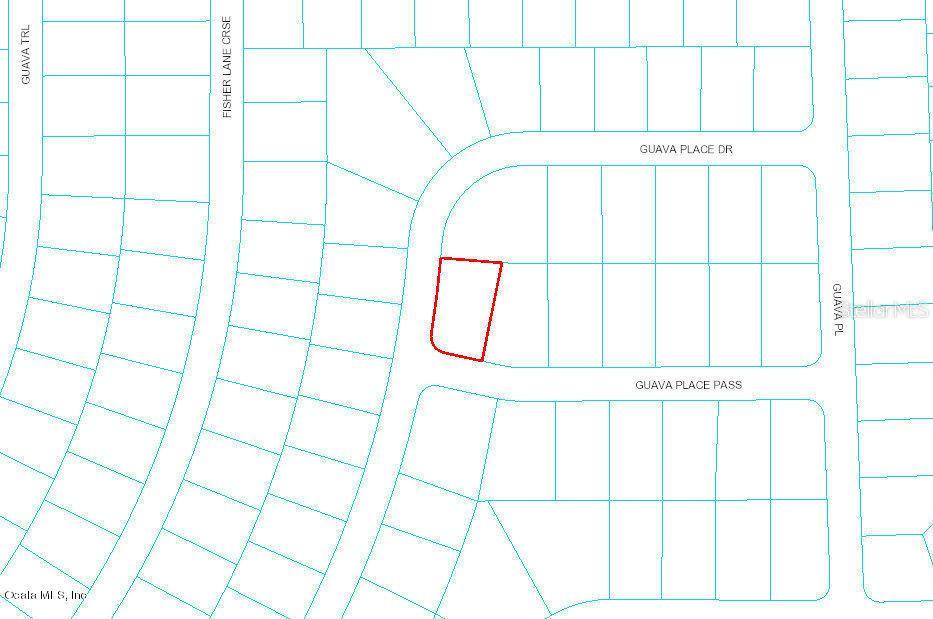 Guava Place Pass, Ocklawaha, FL 32179