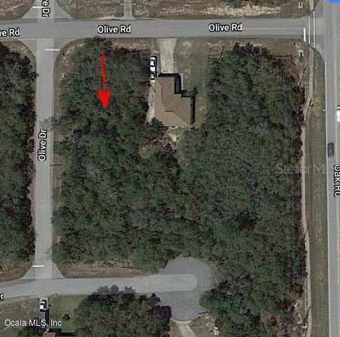 TBA Olive Rd., Ocala, FL 34472