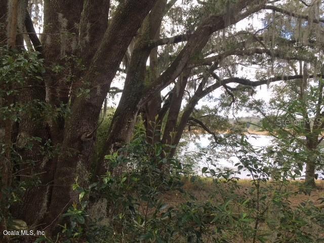 Dulgar Rd., Lady Lake, FL 32159