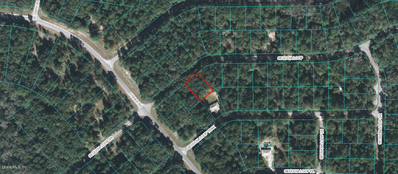 00 Sequioa Loop, Ocklawaha, FL 32179