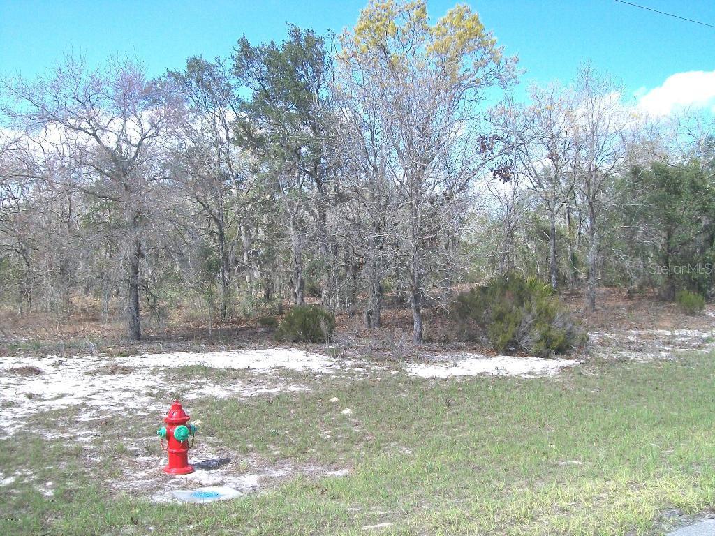 SW 144 St.rd, Ocala, FL 34473