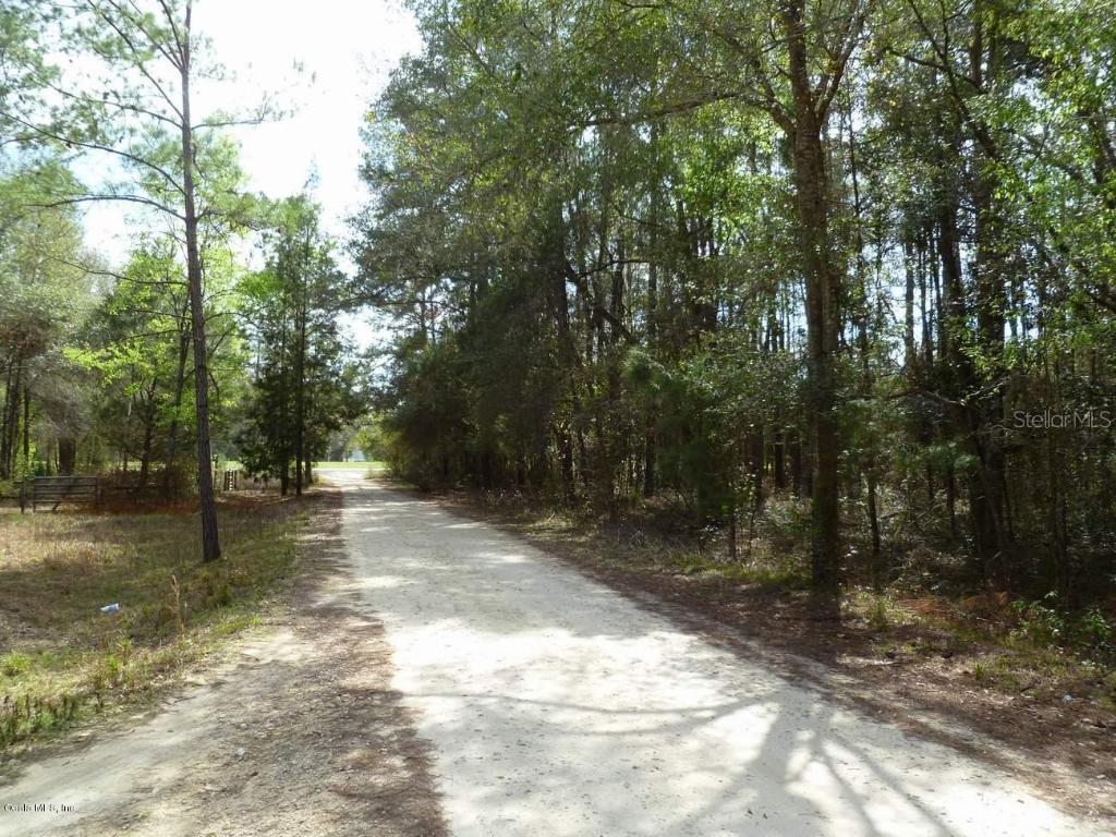 TBD NE 158th Ave., Williston, FL 32696