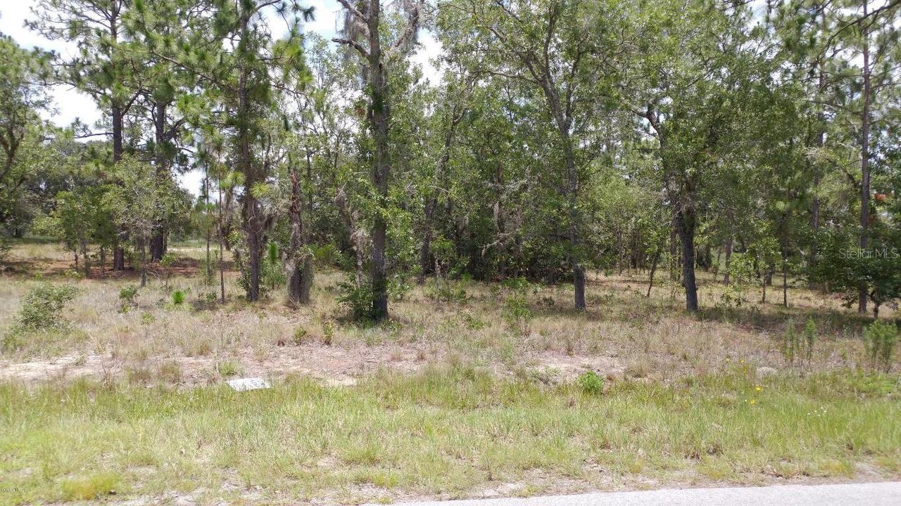 NE 152nd Ct., Williston, FL 32696