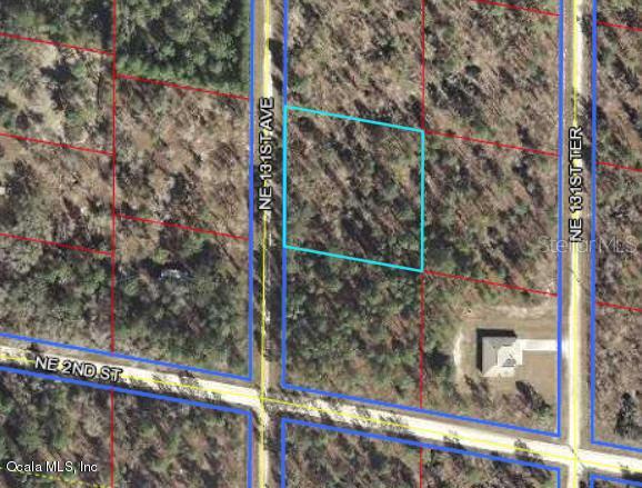 291 NE 131st Ave., Williston, FL 32696