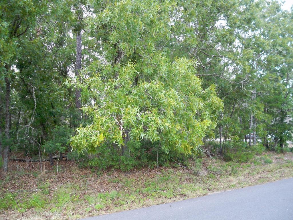 TBD Pecan Lane, Ocala, FL 34472