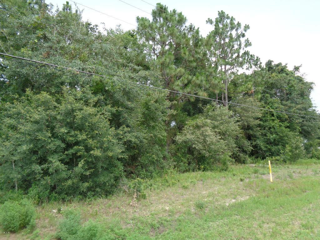 County Rd 42, Summerfield, FL 34491