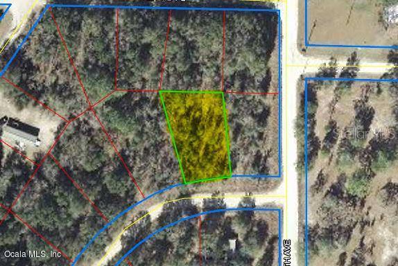 TBD NE 158 Ct., Williston, FL 32696