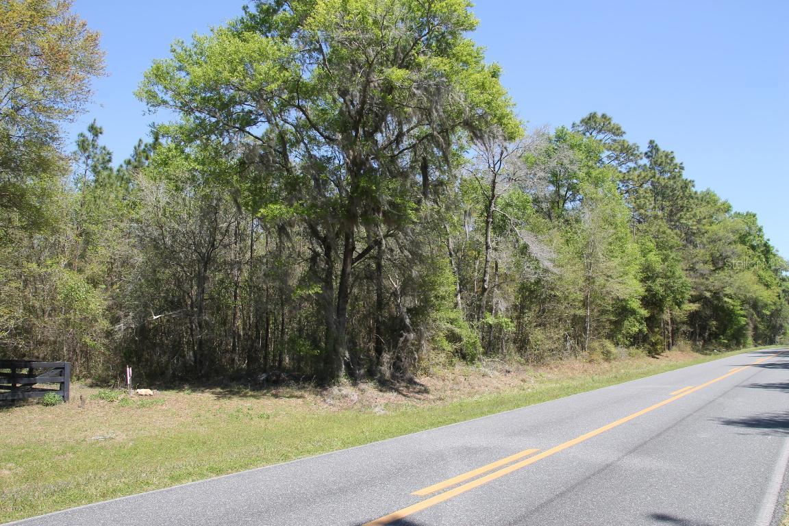 E Levy St., Williston, FL 32696