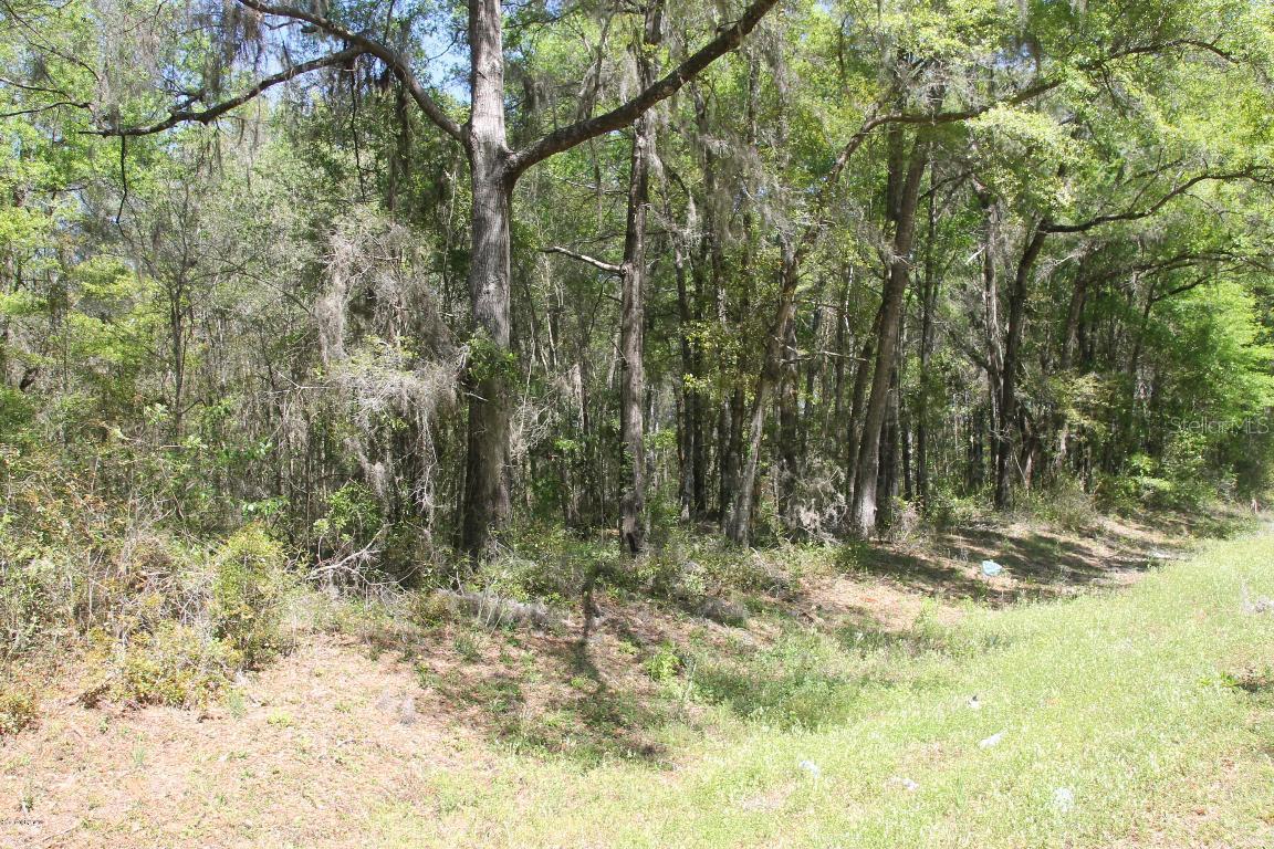 E Levy St., Williston, FL 32696
