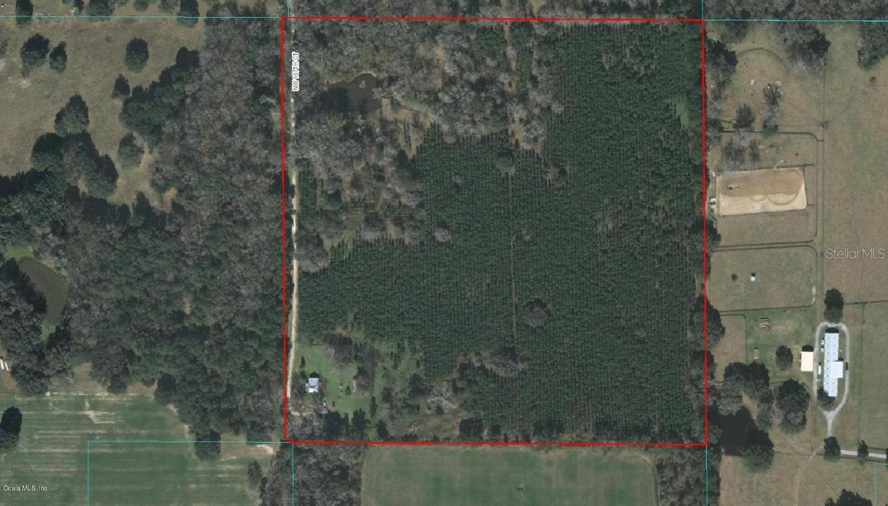 12285 NW 167 Ct., Williston, FL 32696