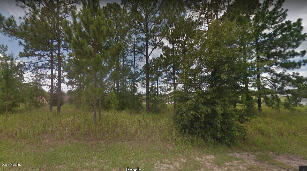 58 Dogwood Drive Loop, Ocala, FL 34472