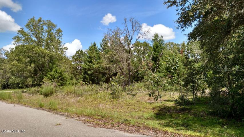 TBD Fisher Lane Run, Ocklawaha, FL 32179