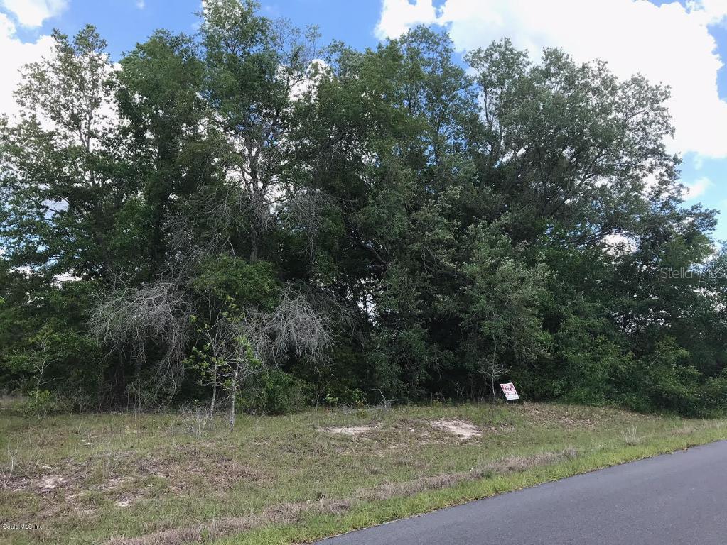0000 Locust Pass, Ocala, FL 34472