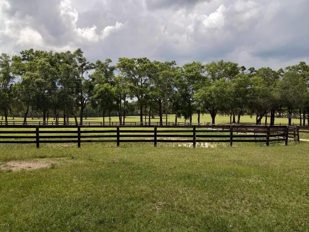 3291 SW 97th Ct., Ocala, FL 34481