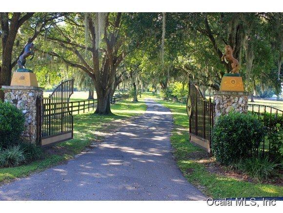 800 SW 85th Ave., Ocala, FL 34481