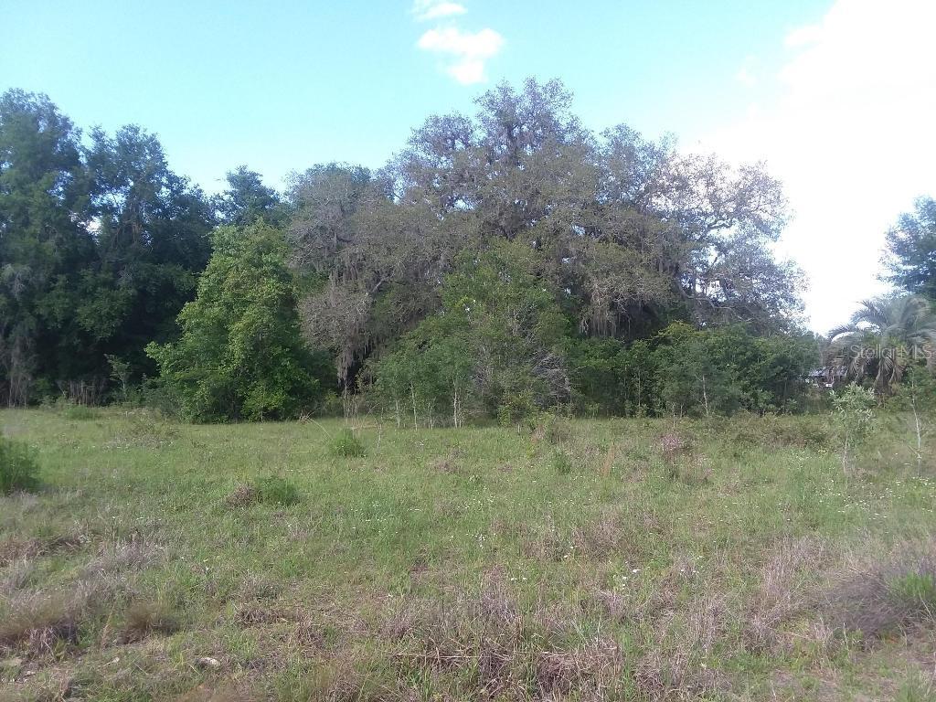 15040 NE 148th Ct, Fort Mccoy, FL 32134