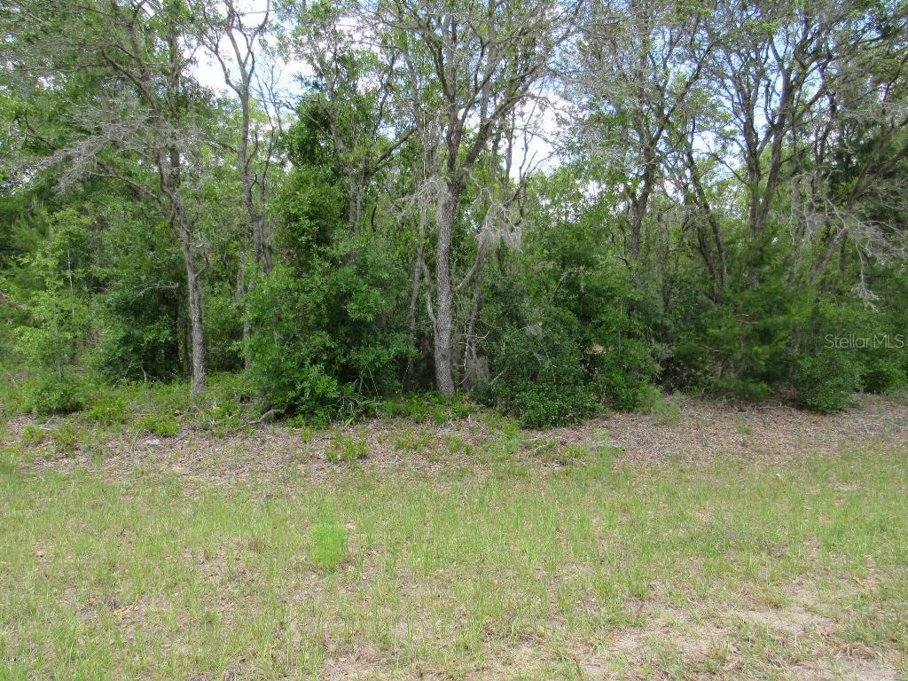 Fisher Run Trace, Ocklawaha, FL 32179