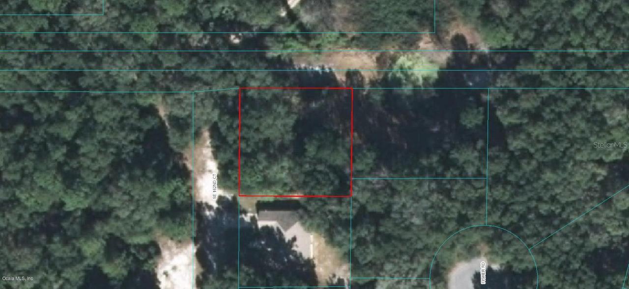 SE 162 Ct., Ocklawaha, FL 32179