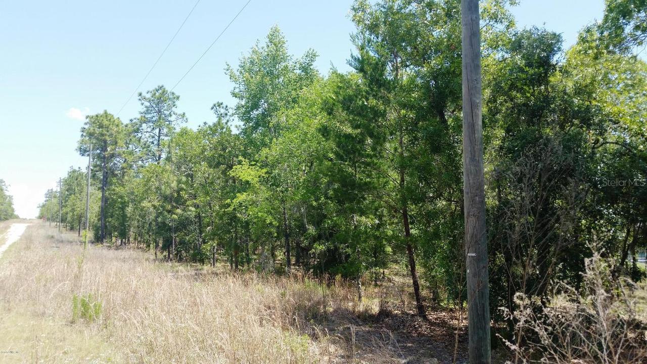 NE 149 Ct., Williston, FL 32696