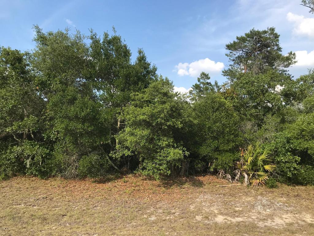 TBD SW 25th Cir., Ocala, FL 34473