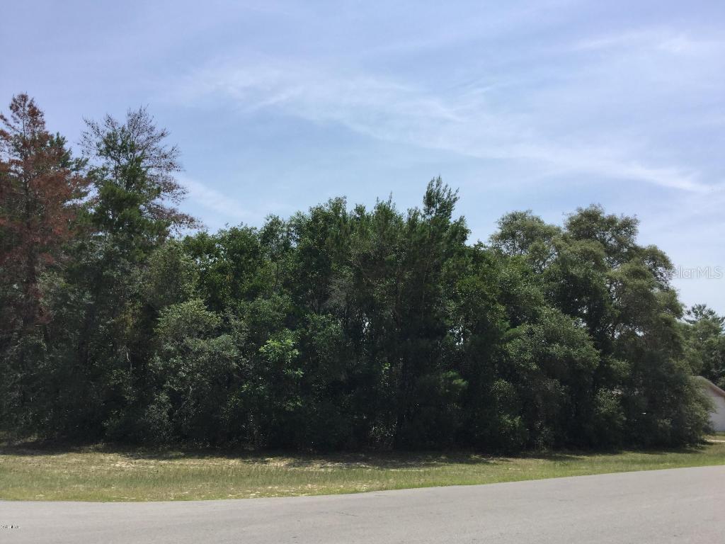 Marion Oaks Ln., Ocala, FL 34473