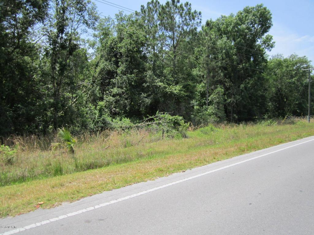 00 E Hwy 316, Fort Mc Coy, FL 32134
