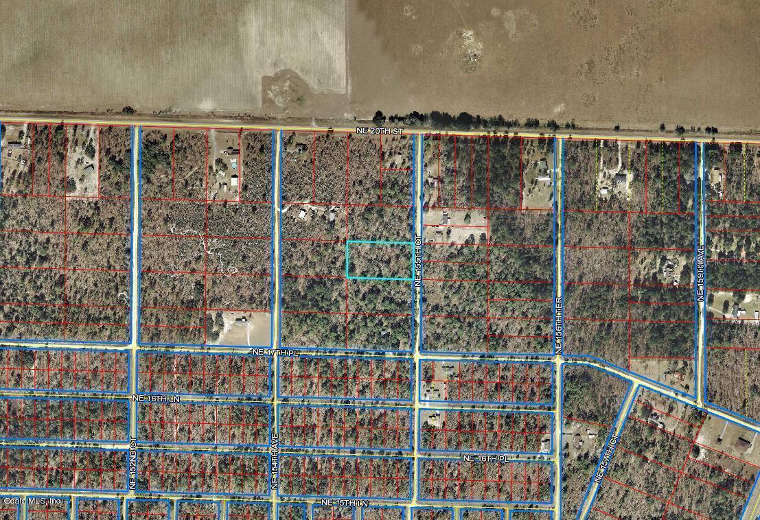 00 NE 155 Ct., Williston, FL 32696