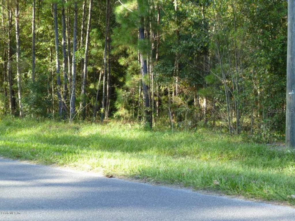 o NE 10th Blvd., Williston, FL 32696