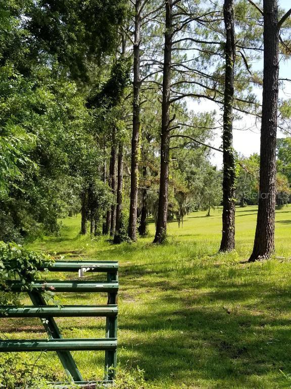 7357 W Hwy 316, Reddick, FL 32686