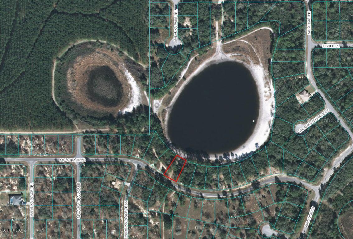 Malauka Trace, Ocklawaha, FL 32179