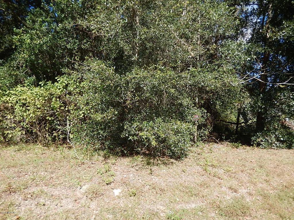 SE 124th St., Belleview, FL 34420
