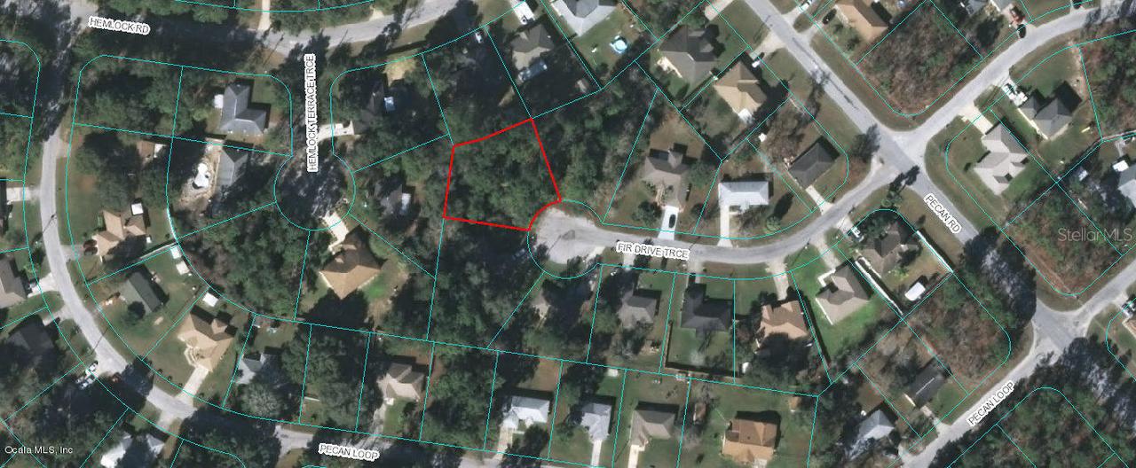 TBD Fir Drive Trace #35, Ocala, FL 34472