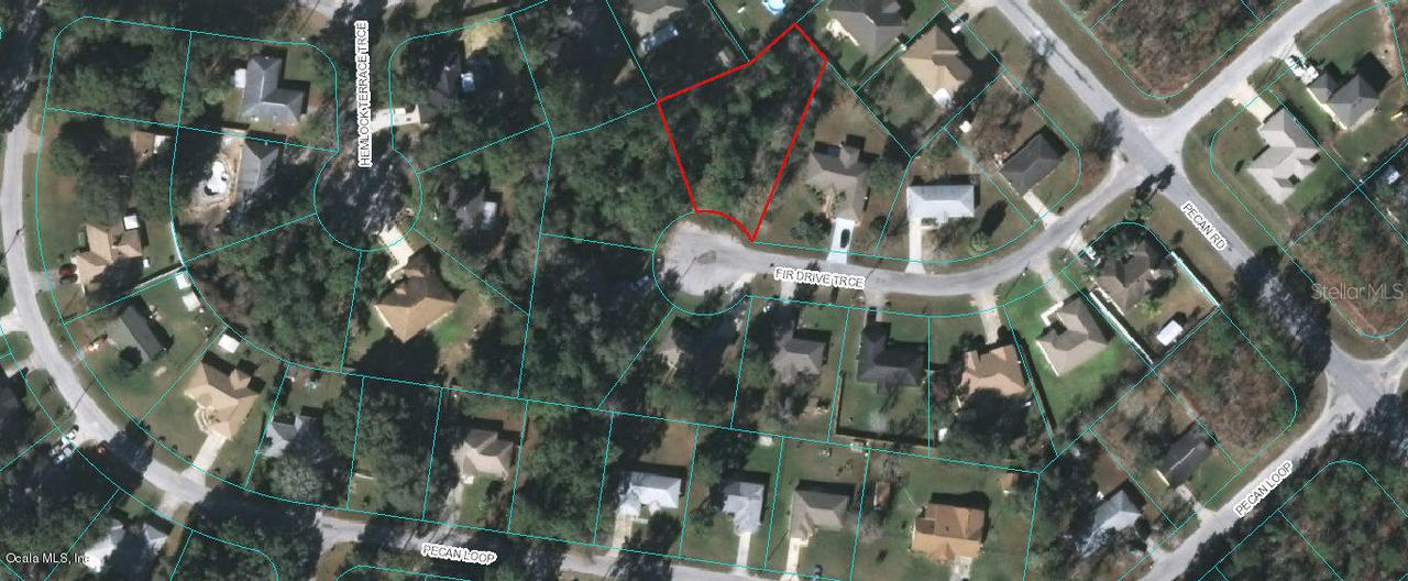 TBD Fir Drive Trace #36, Ocala, FL 34472