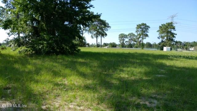 5615 NE 62 Court Null Rd., Silver Springs, FL 34488