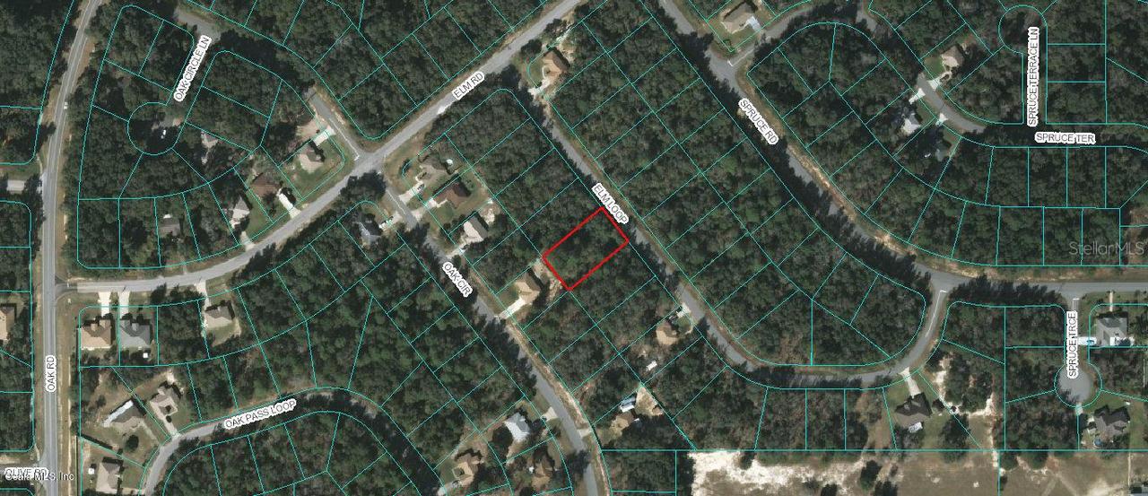 00 Elm Loop, Ocala, FL 34472