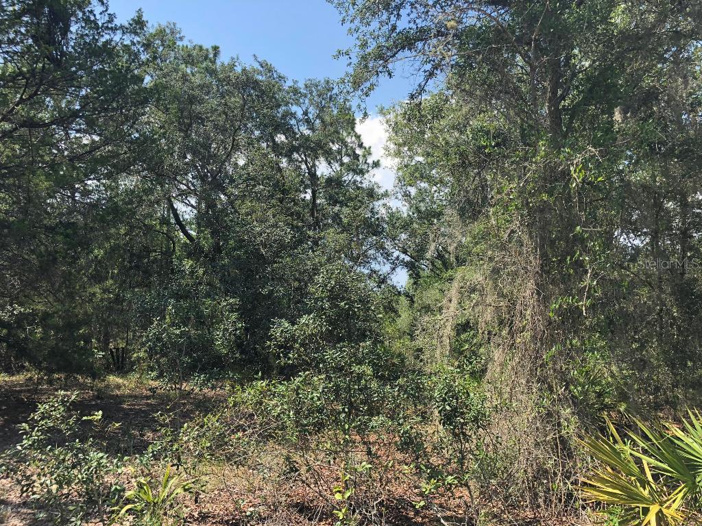 9290 NE 137th Ct. #25, Williston, FL 32696