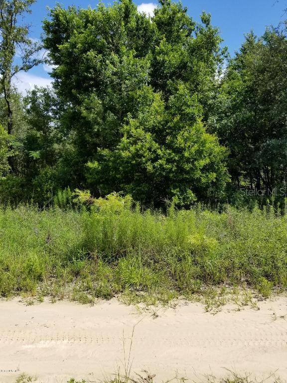 NE 67th Pl., Williston, FL 32696