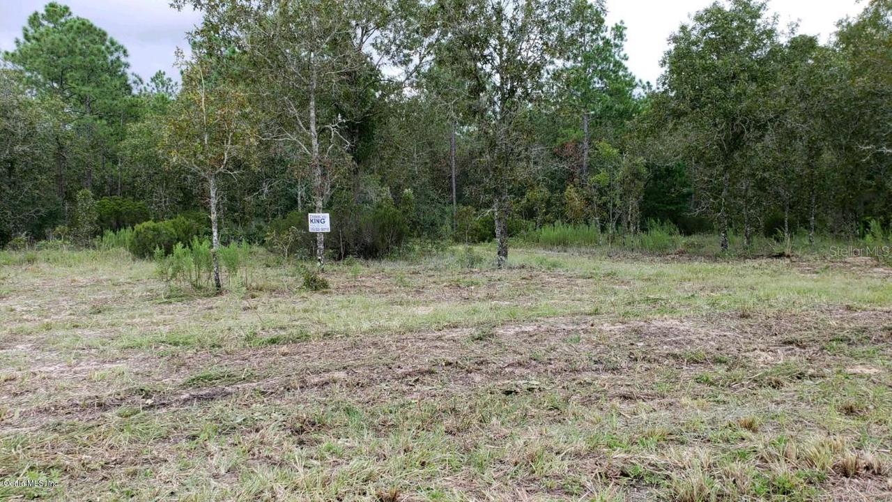 TBD NE 127 Ct., Williston, FL 32696