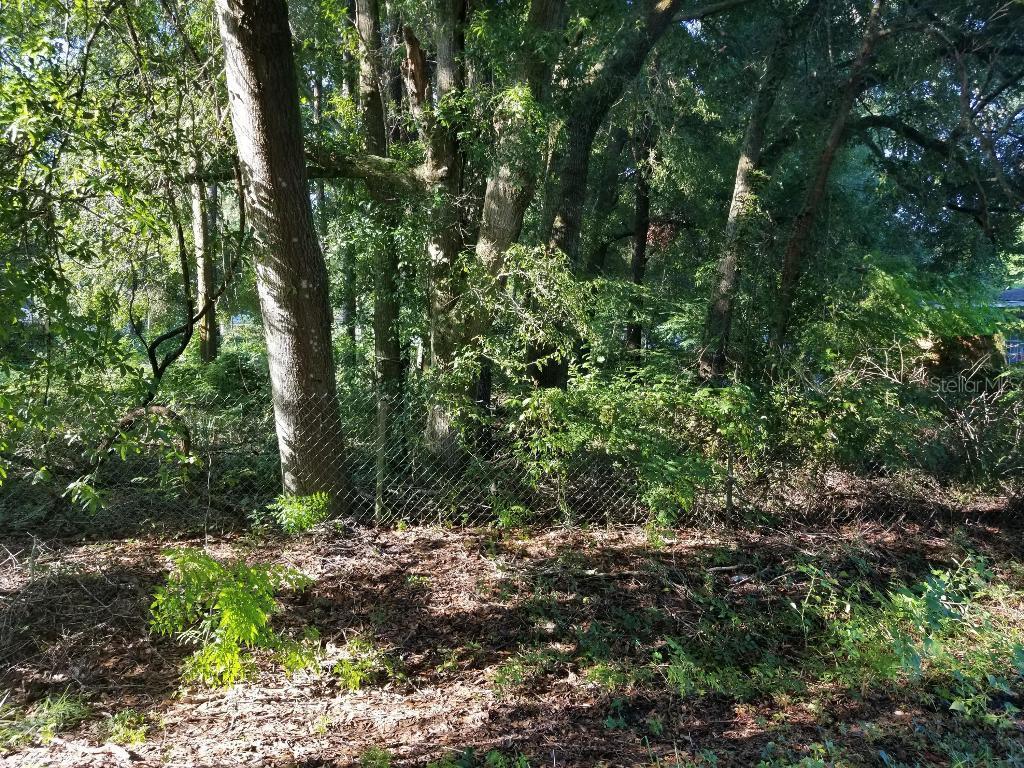 7756 SW 81 St., Ocala, FL 34476