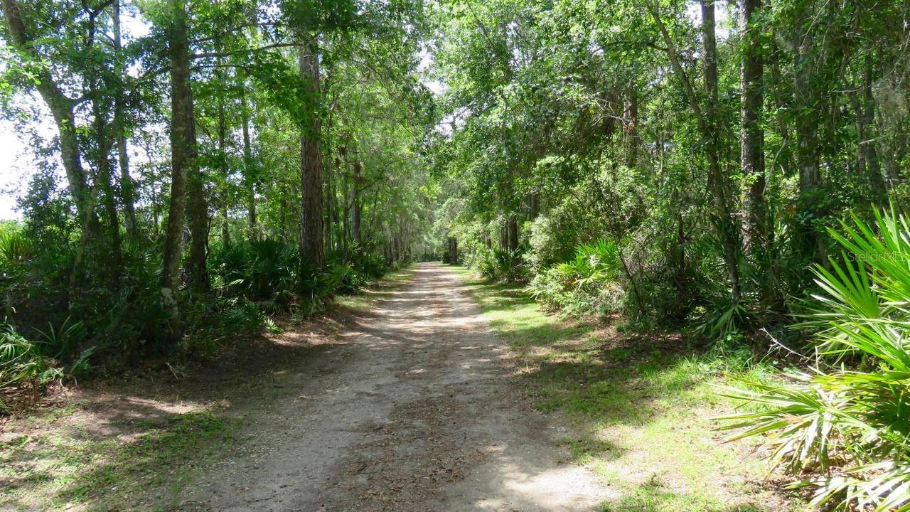 22484 NW 87th Avenue Rd., Micanopy, FL 32667
