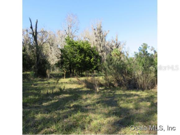12850 SE 47 Ave., Belleview, FL 34420