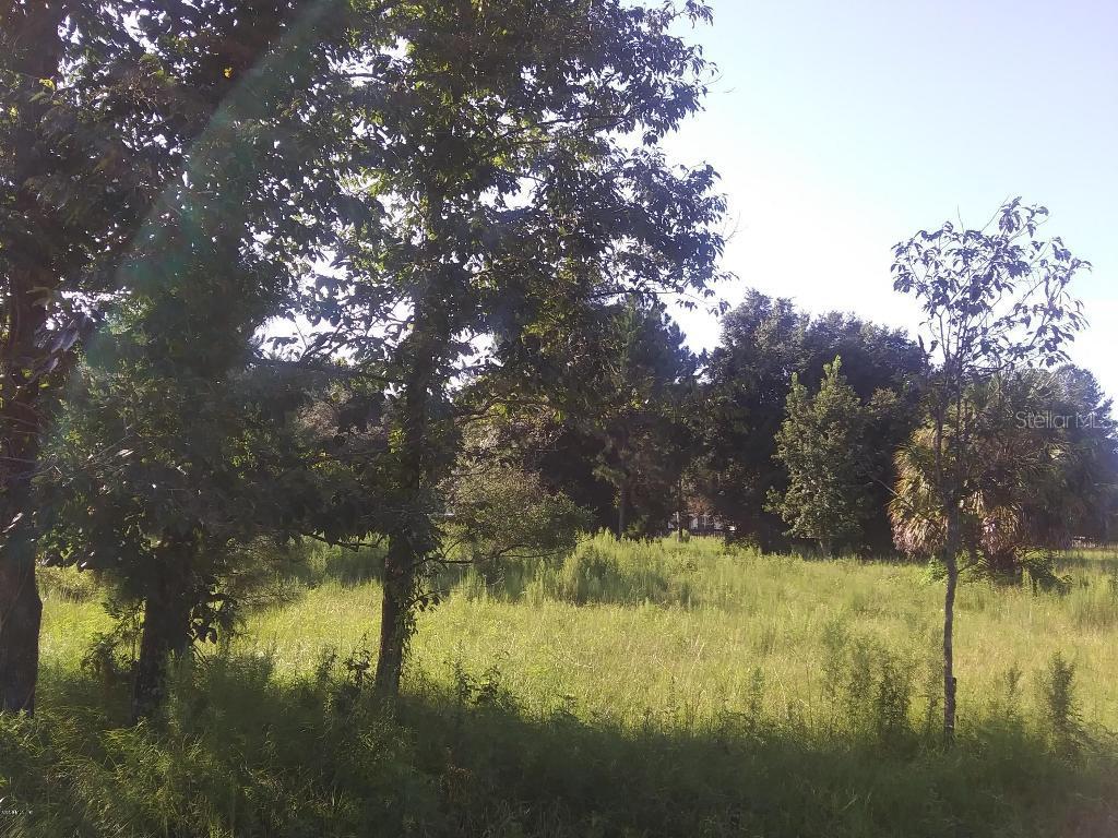 Sequouia Drive Ct., Ocklawaha, FL 32179