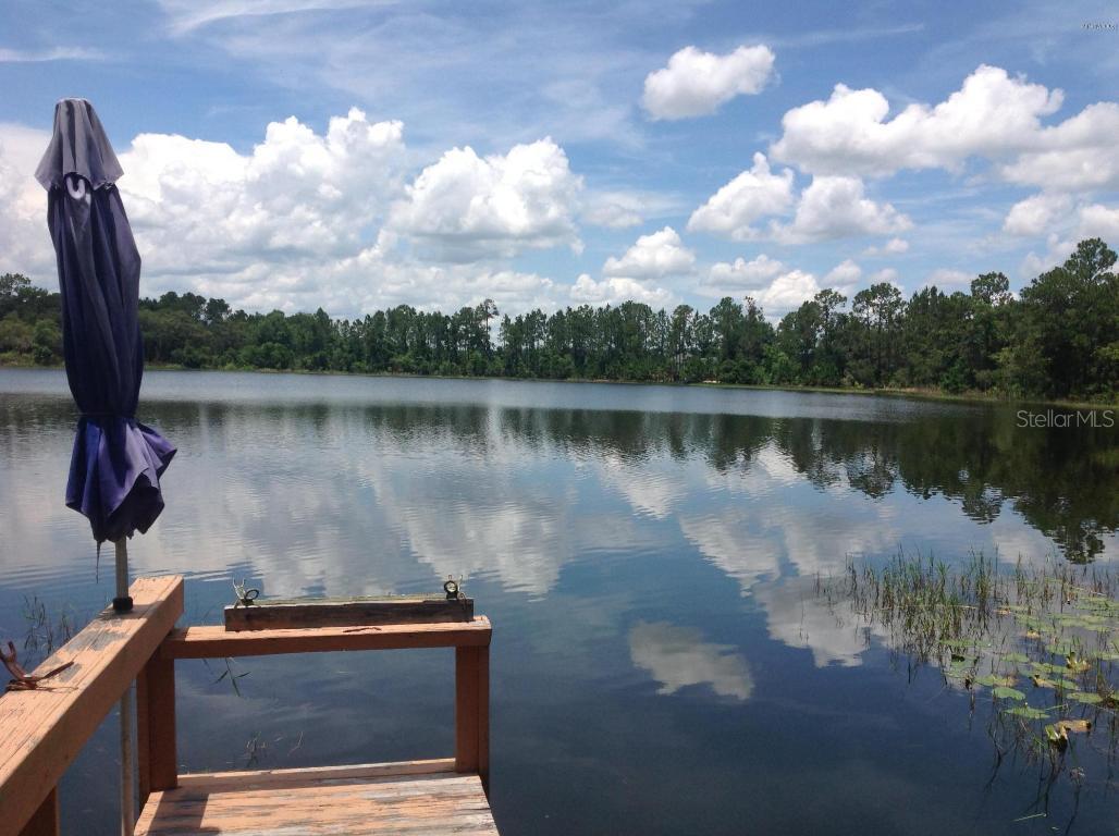 Malauka Radial, Ocala, FL 34472