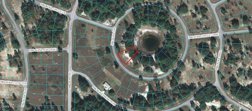 Malauka Cir Lot 10, Ocklawaha, FL 32179